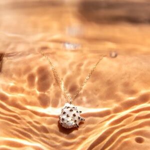 The  Coconut Collective Aloha Drupe Shell Gold Necklace NWT!